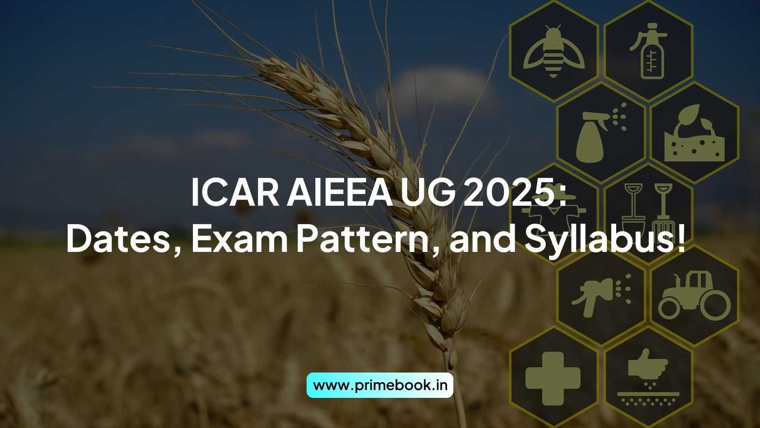 ICAR AIEEA UG 2025: Dates, Exam Pattern, and Syllabus!